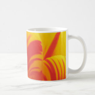 Mok Fiery Tulip