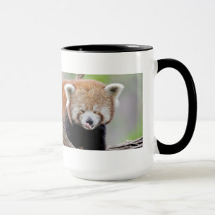 Mok Foto rode panda , dieren . mok koffie