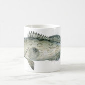 Mok Gag Grouper coffe (Center)