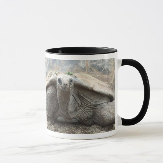 Mok Galapagos Tortoise (Rechts)