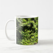 Mok gedekte bruggen (Links)