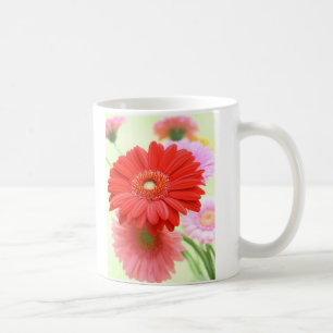 Mok  Gerber Daisies