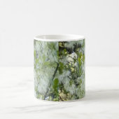 Mok Grandaddy Graybeard Tree (Center)