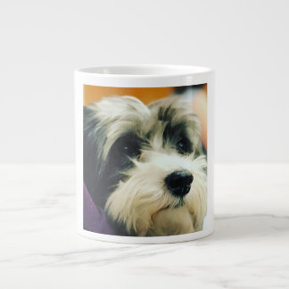 Mok Havanese Dog Coffee