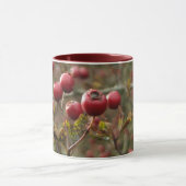 Mok Hawthorn Berries (Midden)