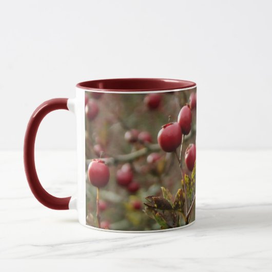 Mok Hawthorn Berries (Links)