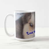 Mok Husky Blue Eyes (Links)