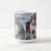 Mok Husky Blue Eyes (Center)