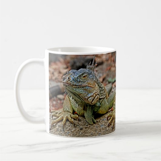 Mok Iguana (Links)