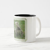 Mok Iguana Coffee (Voorkant rechts)