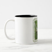 Mok Iguana Coffee (Links)