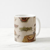 Mok  illustratie biologie (Voorkant rechts)