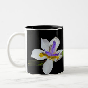 Mok - Iris Flowers