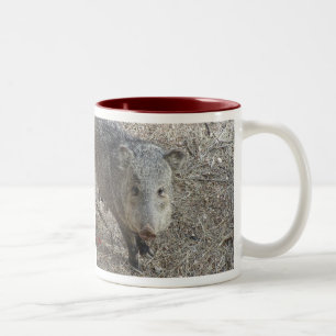 Mok Javelina