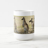 Mok Kangaroo (Center)