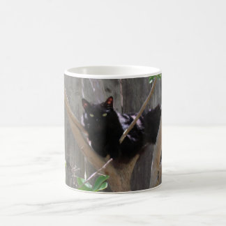 Mok - Kat in takken
