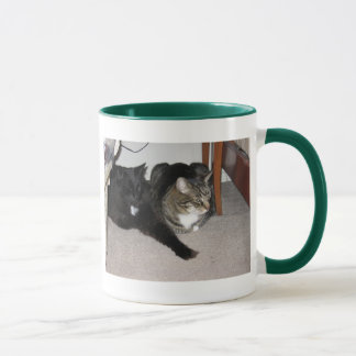 mok katten