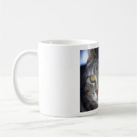 mok katten afbeelding