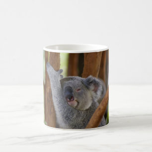 Mok Koala Beer