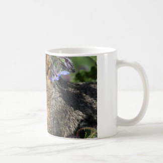 mok koffie met eekhoorn