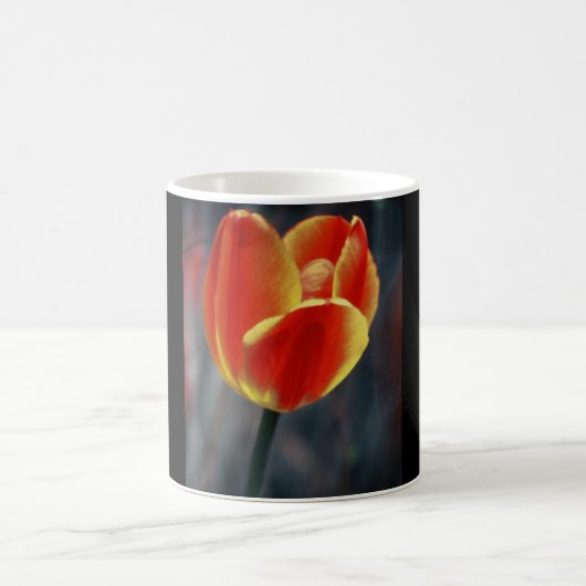 mok koffie met rode tulp (Center)
