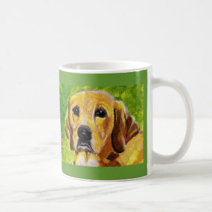 Mok labrador Retriever