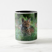 Mok - Lynx (Midden)
