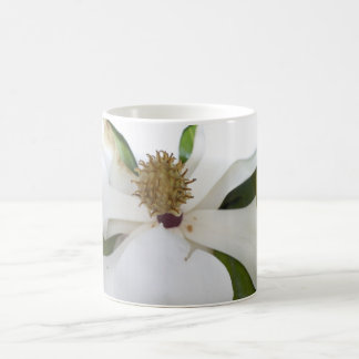 Mok Magnolia