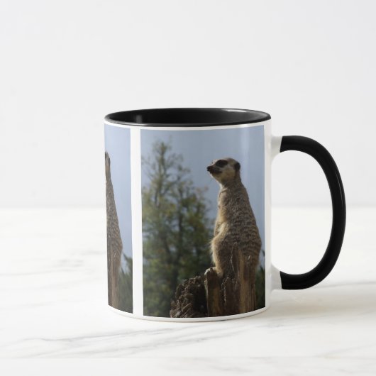 Mok Meerkat (Rechts)