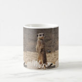 Mok Meerkat (Center)