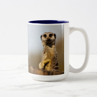 Mok Meerkat