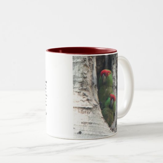 Mok met dikke kieuwen (Voorkant rechts)