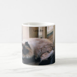 Mok met Foto van een Himalaya Cat