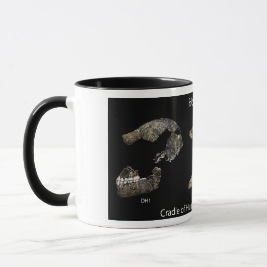 Mok met Homo naledi skulls (Links)