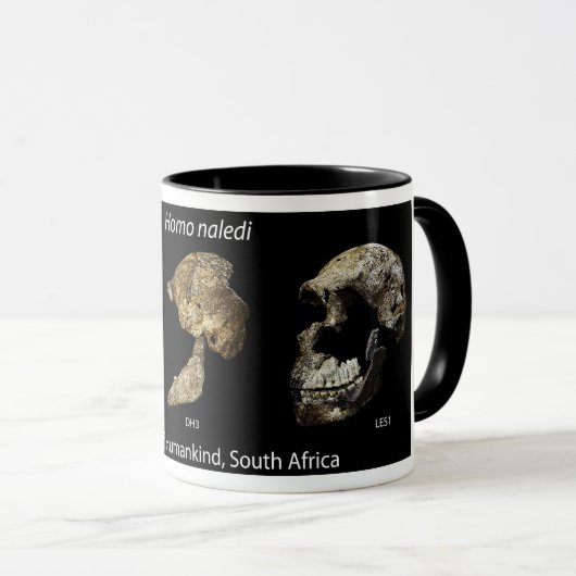 Mok met Homo naledi skulls (Voorkant rechts)