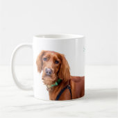 Mok met Irish Setter (Links)