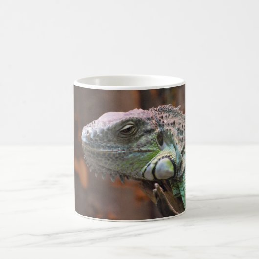Mok met kleurrijke Iguana hagedis (Center)