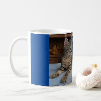 Mok met leuke kitten