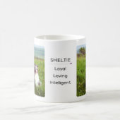 Mok met Shelties in een weiland (Center)