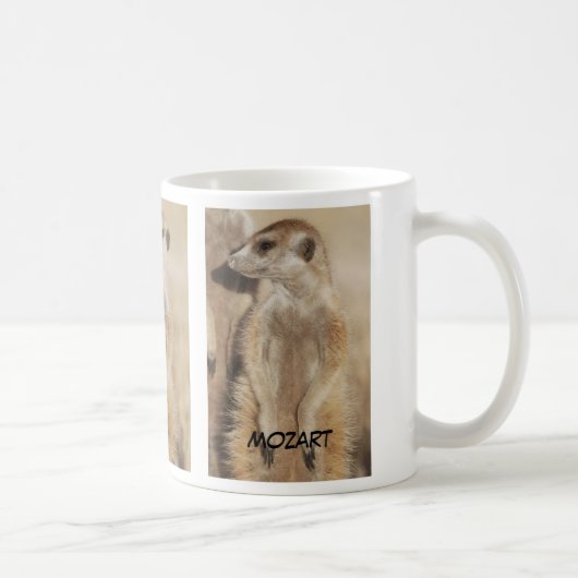 Mok Mozart meerkat (Rechts)