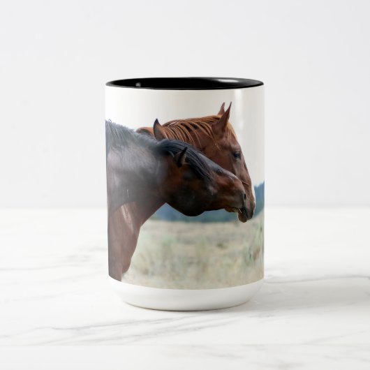 Mok Mustang Stallion en Mare Smith (Center)