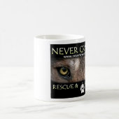 MOK NCWR&A-voordeel (Center)