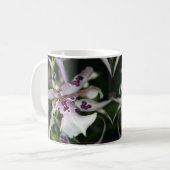 Mok Orchid Beallara (Voorkant links)
