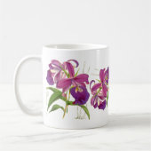 Mok Orchid Flowers (Links)