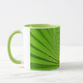 Mok - Palm Leaf in Sunlight (Links)