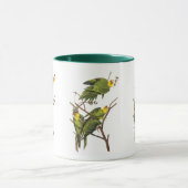 Mok: Parkiet - door John Audubon Mok (Midden)
