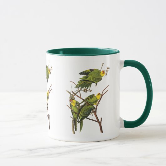 Mok: Parkiet - door John Audubon Mok (Rechts)