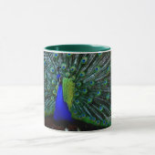 mok "Peafowl Plumage" (Midden)