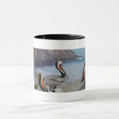 Mok Pelicans en aalscholvers (Midden)