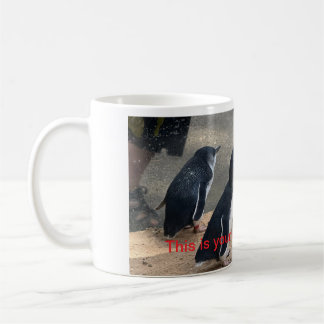 Mok Penguin
